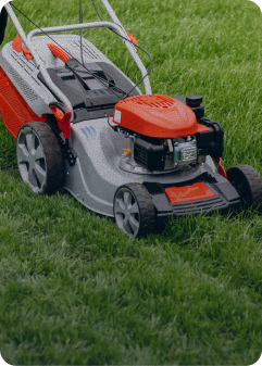 Seasonal & Landscaping